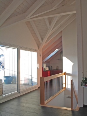 2011-01-03_16-50-31_2.jpg