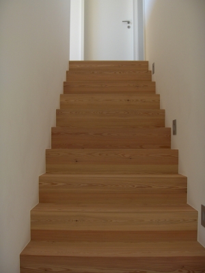 HPIM1554_2_2.JPG