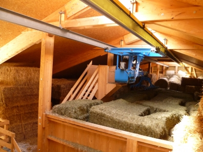 P1000410_2.JPG