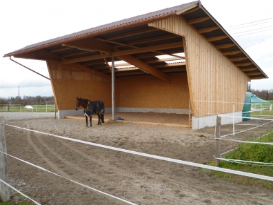 P1020110_2.JPG